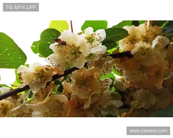 江西籍企业家引领创新发展推动地方经济高质量腾飞之路