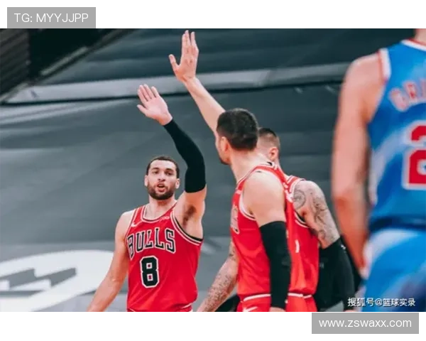 德米罗维奇承诺为球迷饮酒